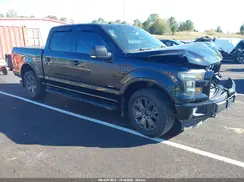 1FTEW1EG4HFB87249 2017 FORD F-150
