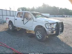 1FTEW1EG4HFB92161 2017 FORD F-150