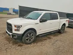 1FTEW1EG4HFB95299 2017 FORD F-150