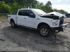 1FTEW1EG4HFC30567 2017 FORD F-150