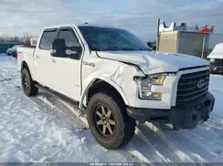 1FTEW1EG4HKC34092 2017 FORD F-150