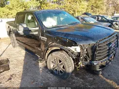 1FTEW1EG4HKD18669 2017 FORD F-150