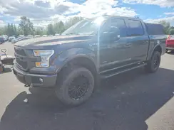 1FTEW1EG4HKE30579 2017 FORD F-150