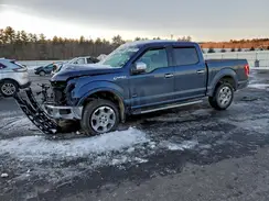 1FTEW1EG4HKE45549 2017 FORD F-150