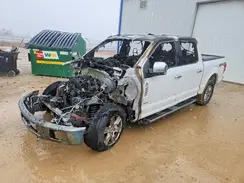 1FTEW1EG5HFB63543 2017 FORD F-150