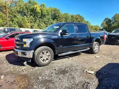 1FTEW1EG5HFC36135 2017 FORD F-150