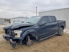 1FTEW1EG5HKE46631 2017 FORD F-150