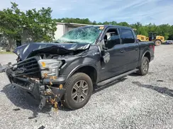 1FTEW1EG6GFA43426 2016 FORD F-150