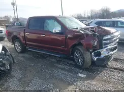 1FTEW1EG6GFB20294 2016 FORD F-150