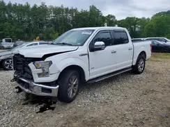 1FTEW1EG6GFB73867 2016 FORD F-150