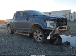 1FTEW1EG6GFC53167 2016 FORD F-150
