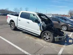1FTEW1EG6GFD35576 2016 FORD F-150