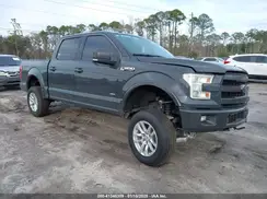 1FTEW1EG6GFD43449 2016 FORD F-150