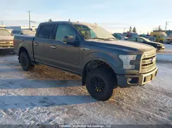 1FTEW1EG6HFC53980 2017 FORD F-150