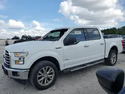 1FTEW1EG6HFC62484 2017 FORD F-150
