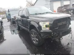 1FTEW1EG6HFC65059 2017 FORD F-150