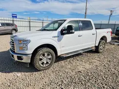 1FTEW1EG6HKD55609 2017 FORD F-150