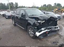 1FTEW1EG6JFE53490 2018 FORD F-150