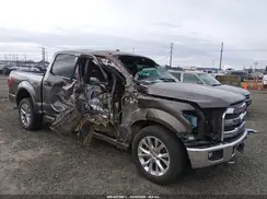 1FTEW1EG7GFB02208 2016 FORD F-150