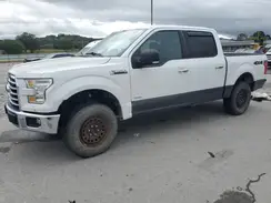 1FTEW1EG7GFB42725 2016 FORD F-150
