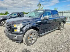 1FTEW1EG7GFC40556 2016 FORD F-150