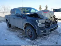 1FTEW1EG7GFC51038 2016 FORD F-150