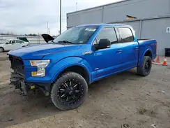 1FTEW1EG7GFD14025 2016 FORD F-150