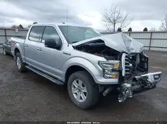 1FTEW1EG7HFA75156 2017 FORD F-150