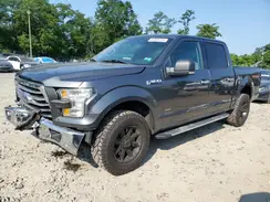 1FTEW1EG7HFA94483 2017 FORD F-150