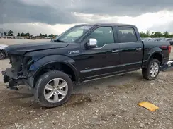 1FTEW1EG7HFA97593 2017 FORD F-150