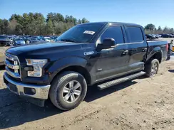 1FTEW1EG7HFB23156 2017 FORD F-150