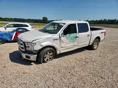 1FTEW1EG7HFB26493 2017 FORD F-150