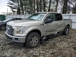 1FTEW1EG7HFB53970 2017 FORD F-150