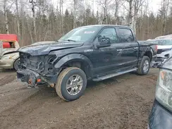 1FTEW1EG7HFB56139 2017 FORD F-150