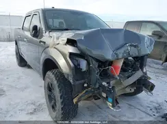 1FTEW1EG7HFB84233 2017 FORD F-150