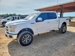 1FTEW1EG7HFC11916 2017 FORD F-150
