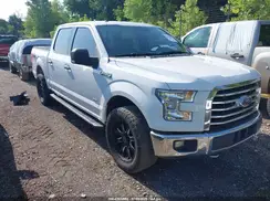 1FTEW1EG7HKD53531 2017 FORD F-150