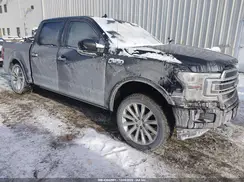1FTEW1EG7LFA75229 2020 FORD F-150