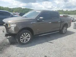1FTEW1EG8GFA07981 2016 FORD F-150