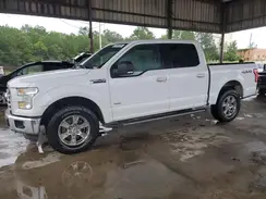 1FTEW1EG8GFA67629 2016 FORD F-150
