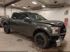 1FTEW1EG8GFC19375 2016 FORD F-150