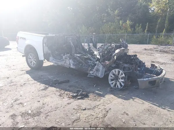 1FTEW1EG8GFC45393 2016 FORD F-150 - Image 1