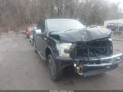 1FTEW1EG8GFD46594 2016 FORD F-150