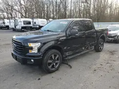 1FTEW1EG8HFA39251 2017 FORD F-150