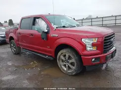 1FTEW1EG8HFA67177 2017 FORD F-150