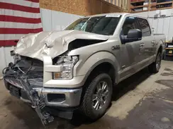 1FTEW1EG8HFA75005 2017 FORD F-150