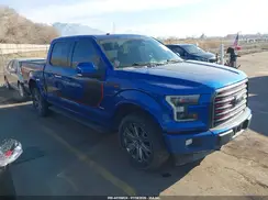 1FTEW1EG8HFA89924 2017 FORD F-150