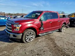 1FTEW1EG8HFB09749 2017 FORD F-150
