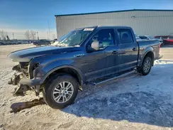 1FTEW1EG8HFB56411 2017 FORD F-150