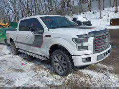 1FTEW1EG8HFB64038 2017 FORD F-150